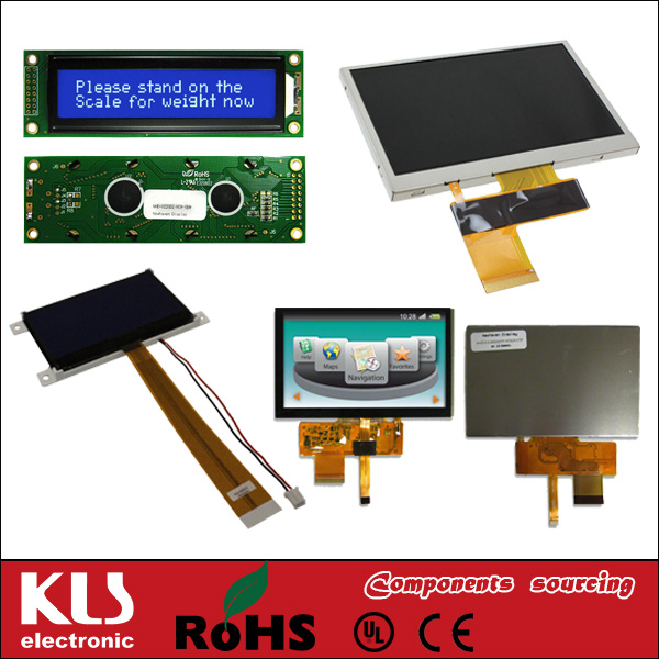 Graphic LCD Module